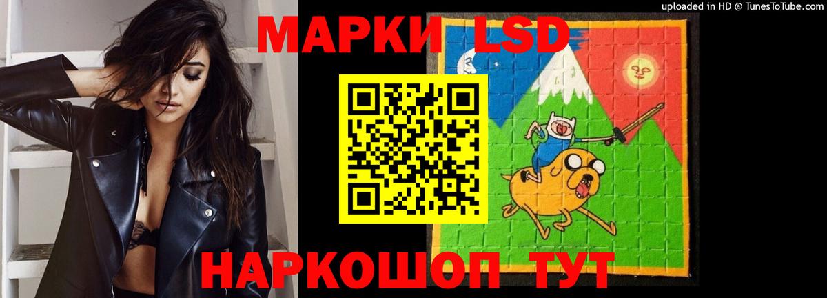 ЛСД экстази ecstasy  Вход с VPN  Бийск  LSD-25 экстази ecstasy 
