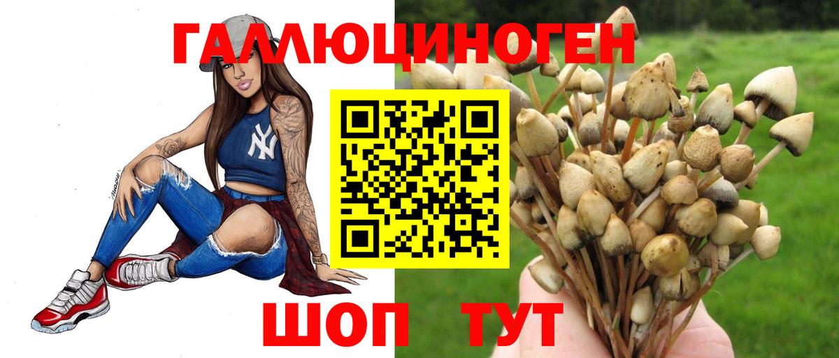Галлюциногенные грибы Cubensis  Вход с VPN  Бийск 